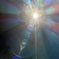 Awareness Awakening