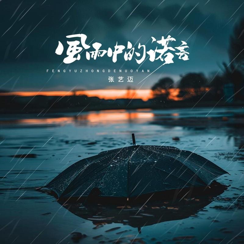 风雨中的诺言封面