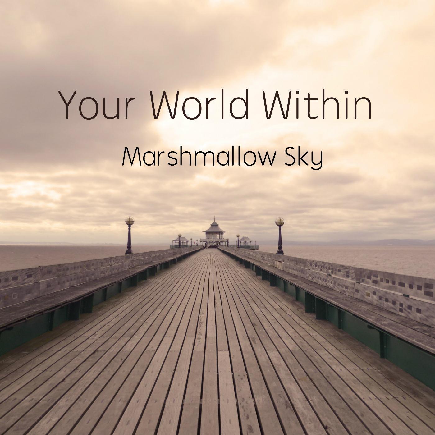 Sun Shower_Your World Within_Marshmallow Sky | 在线播放_Sun Shower歌词_Sun Shower下载 | 网易云音乐