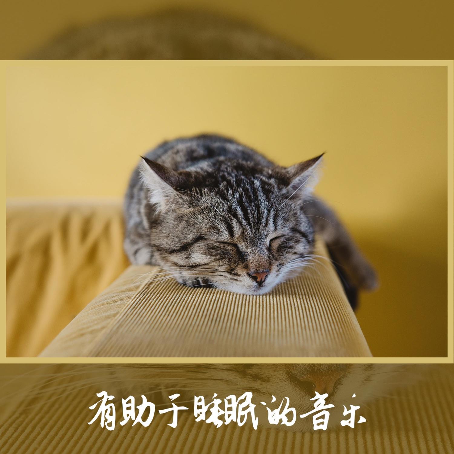 深度睡眠音乐封面
