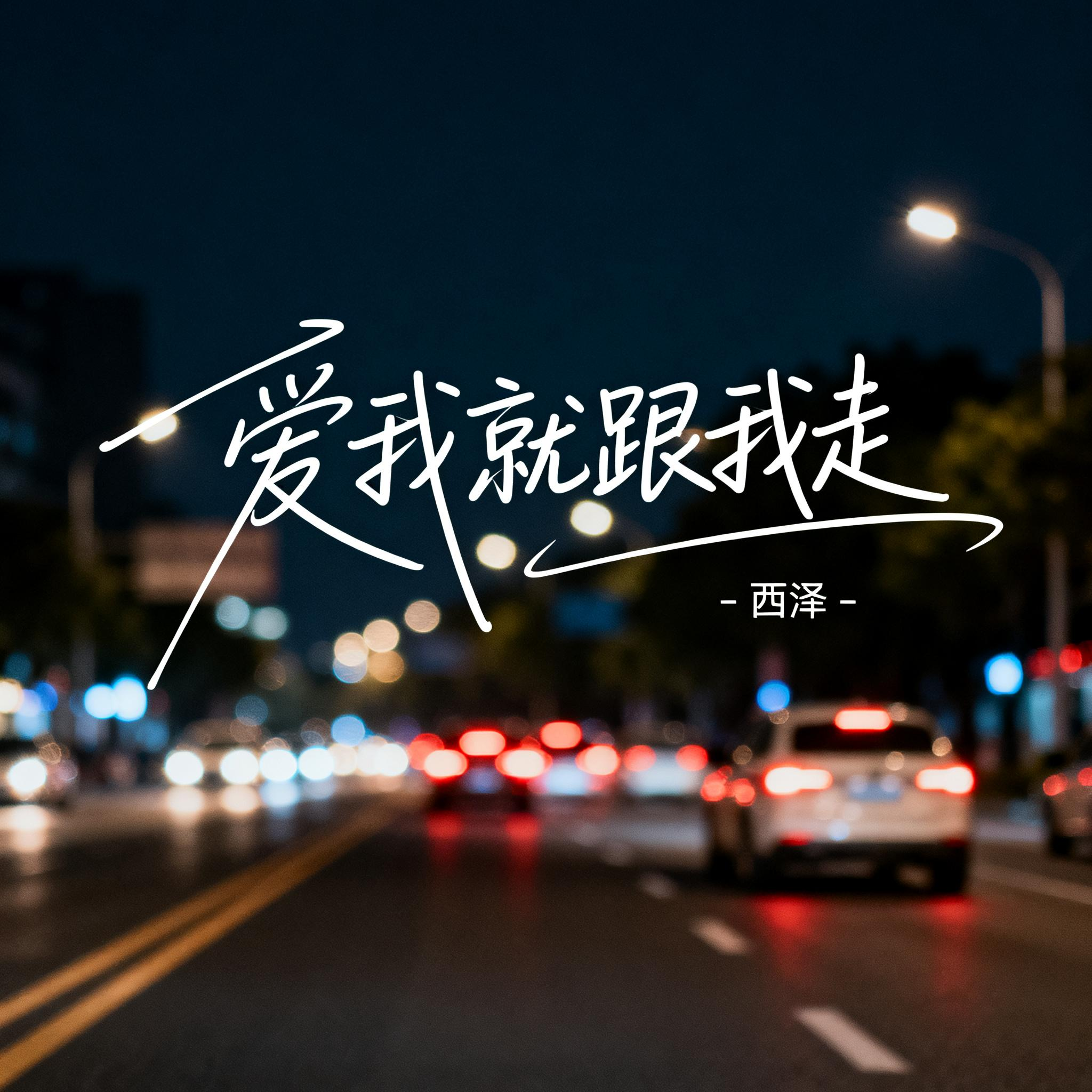 爱我就跟我走（抖音热播版）