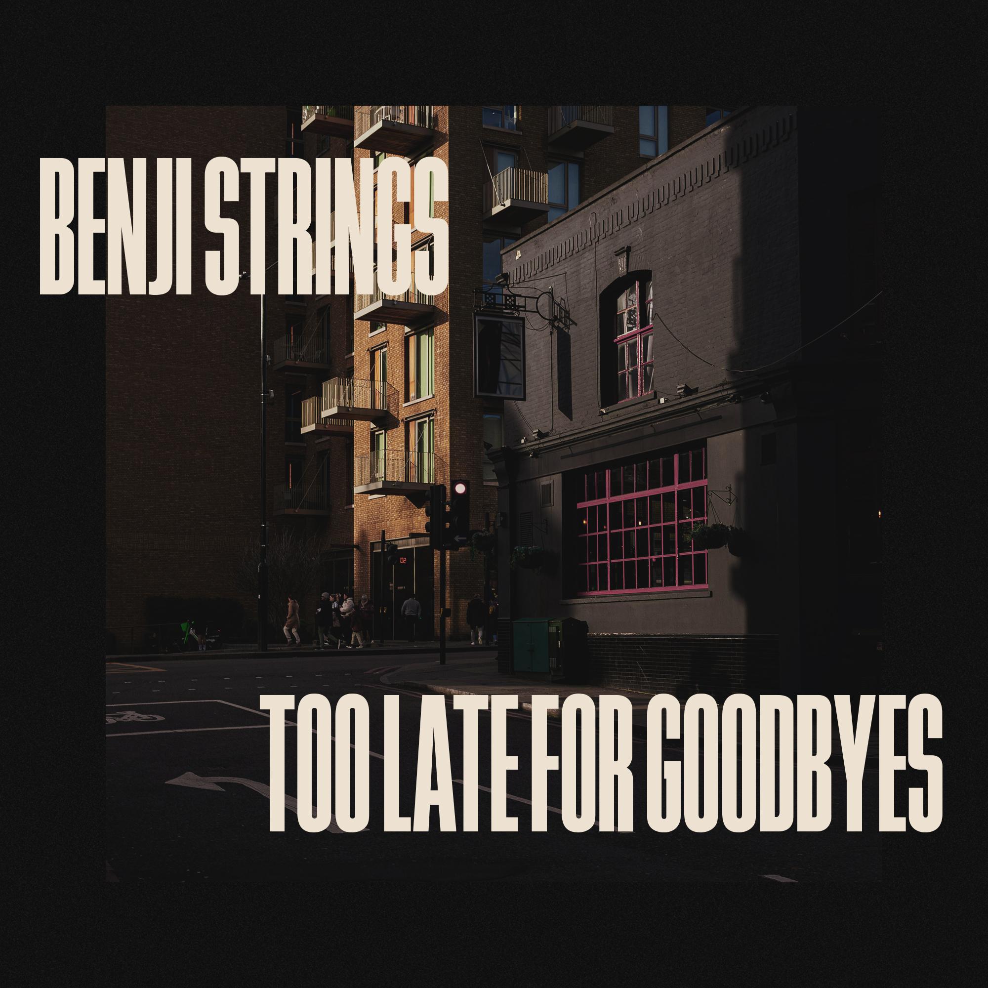 Too Late for Goodbyes