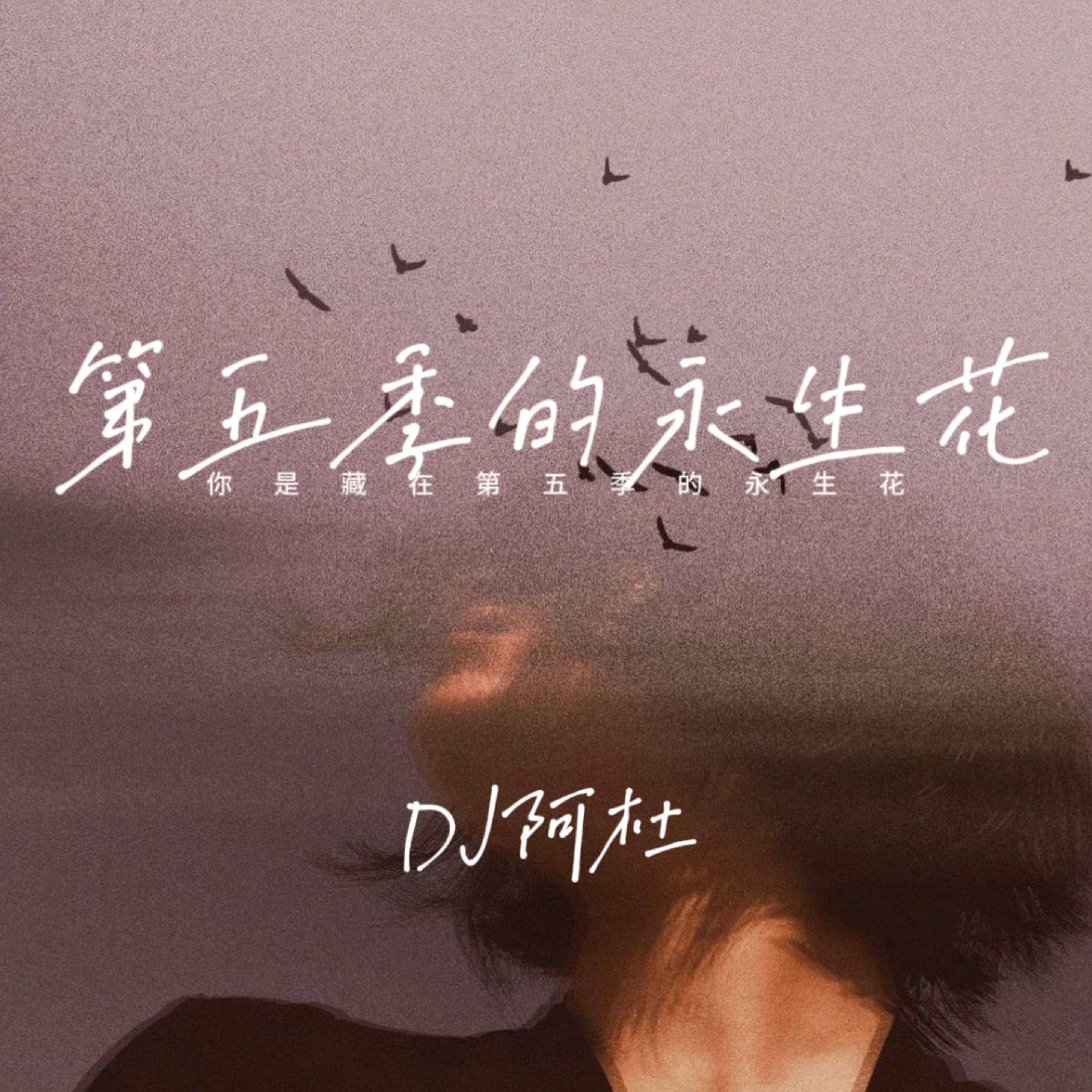 你是藏在第五季的永生花封面