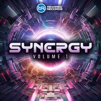 Synergy Volume 1