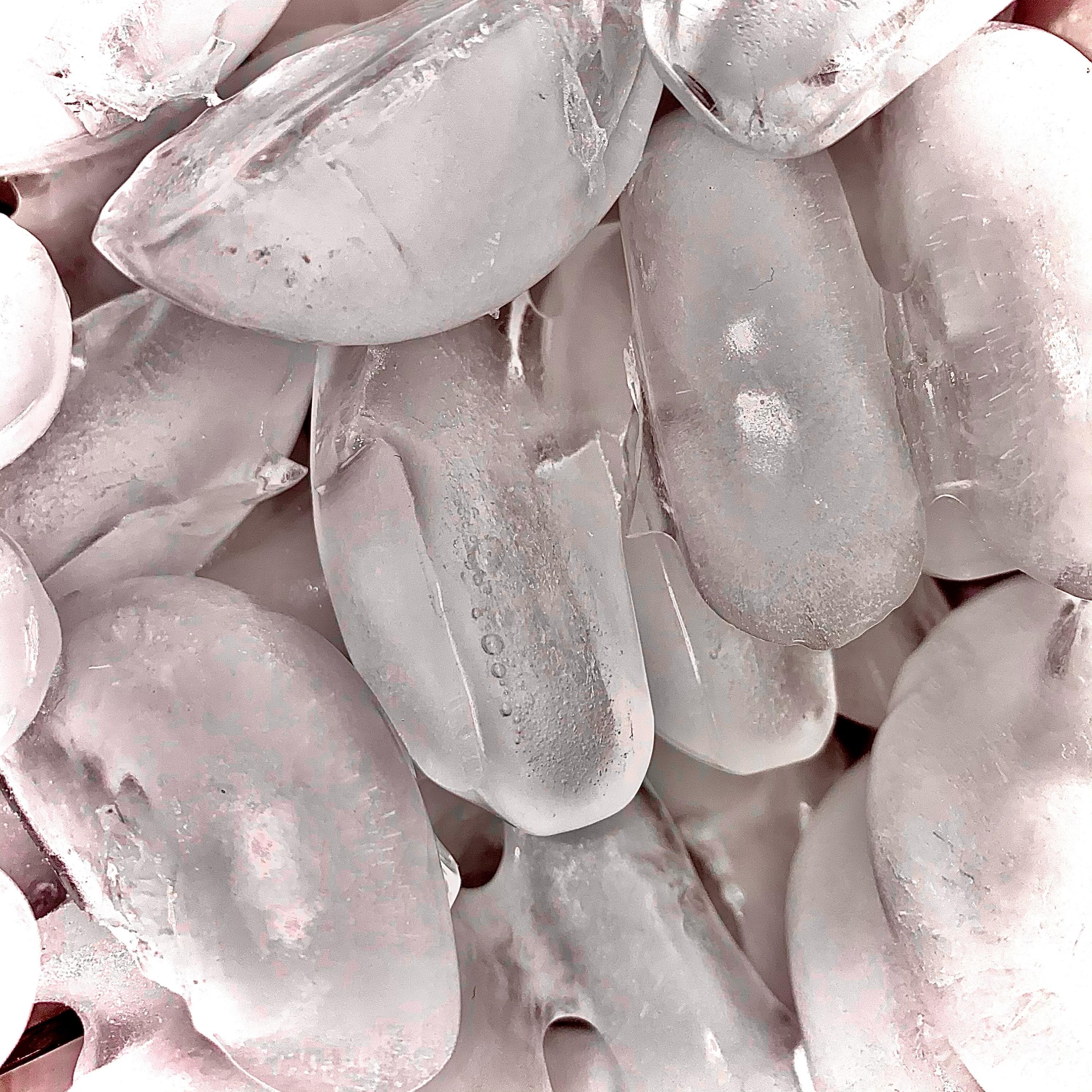 icehead (feat. Indigo Smith Oles)