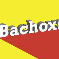 Bachoxs