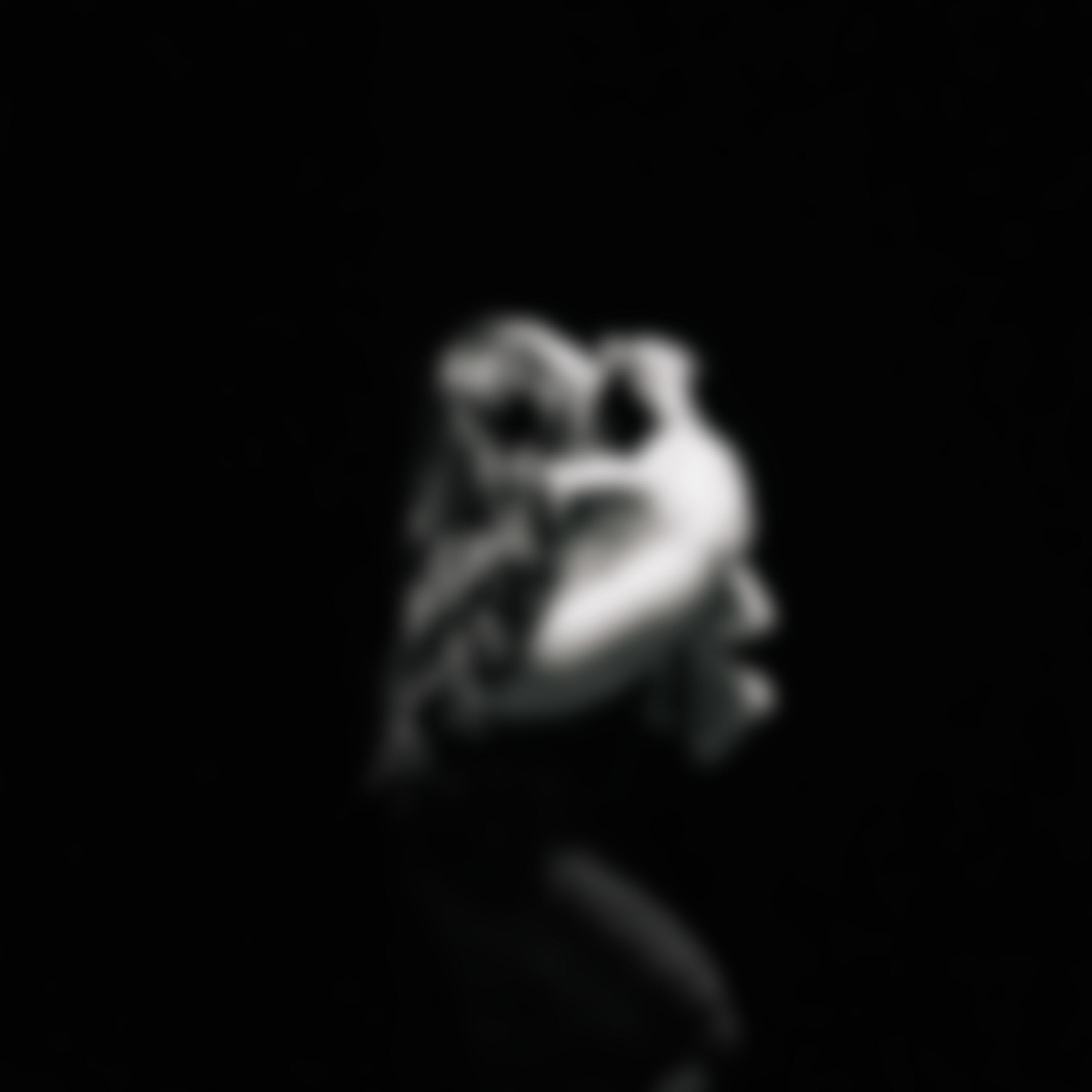 Your Circus My Monkeys