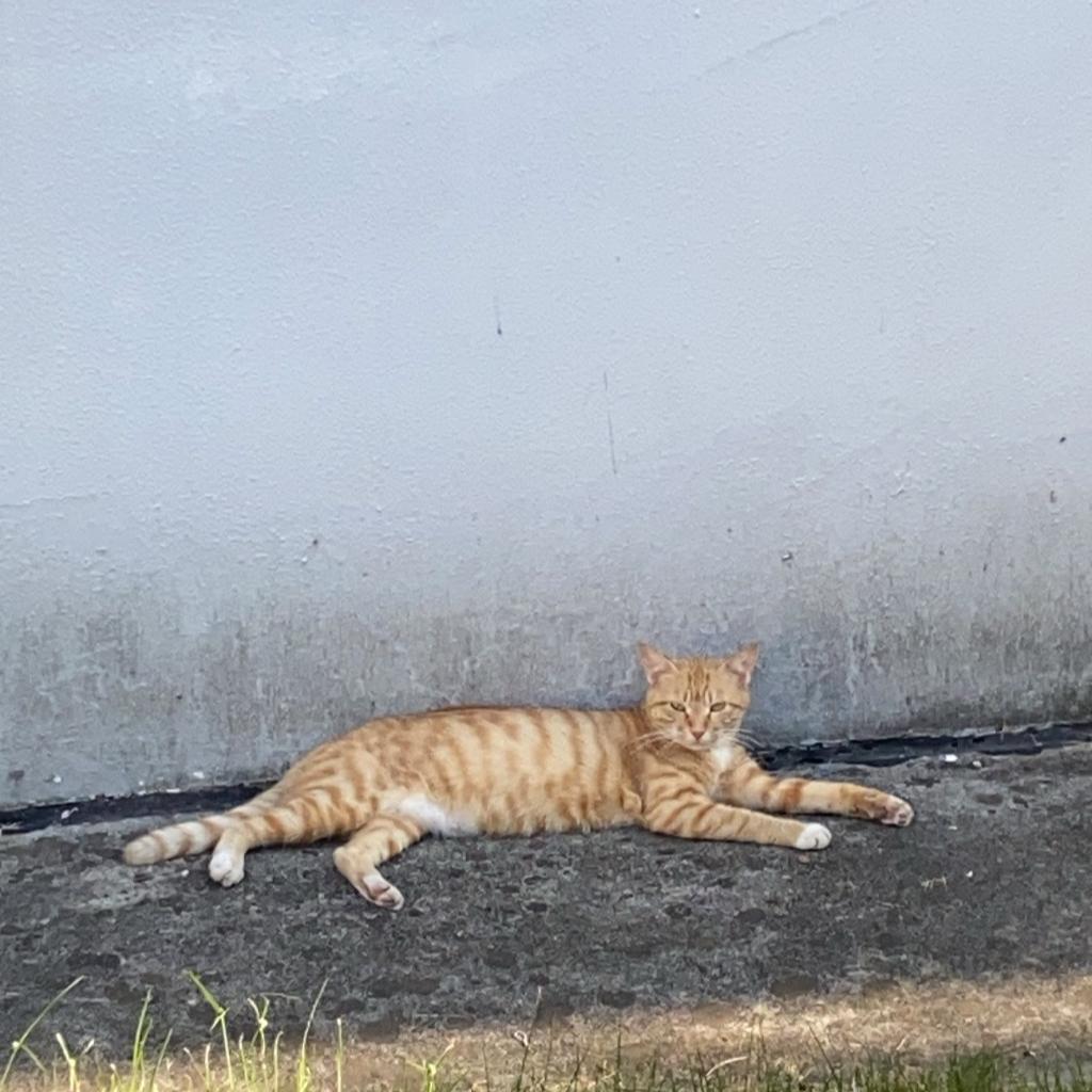 我不求人-人不求我