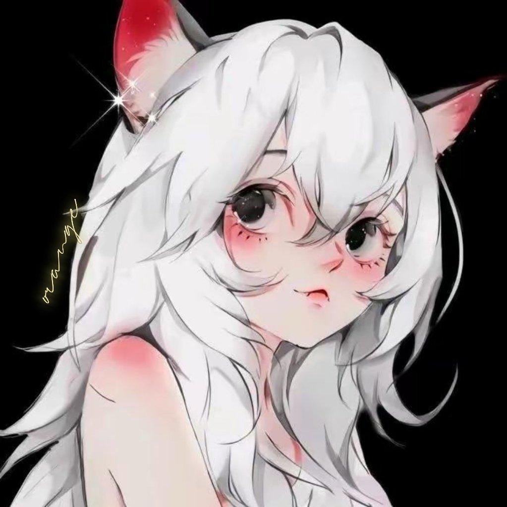 热心音乐人橘子