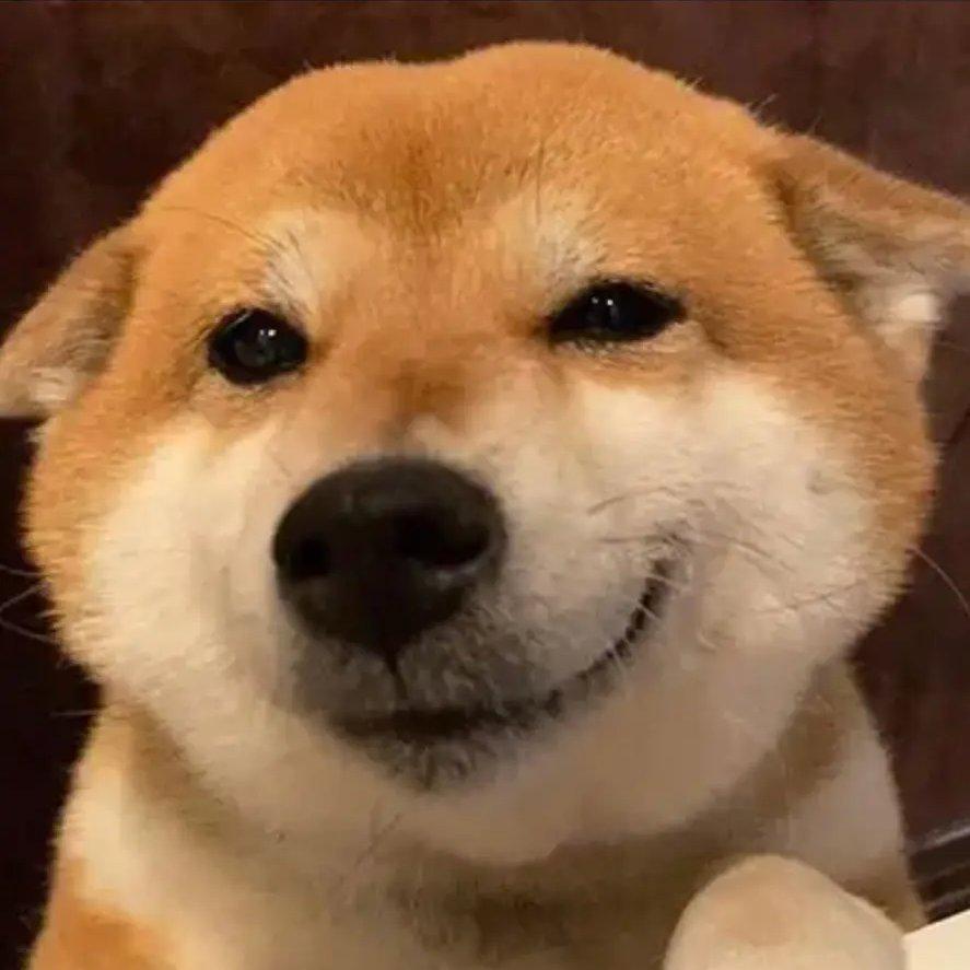 瓜田里最肥的猹