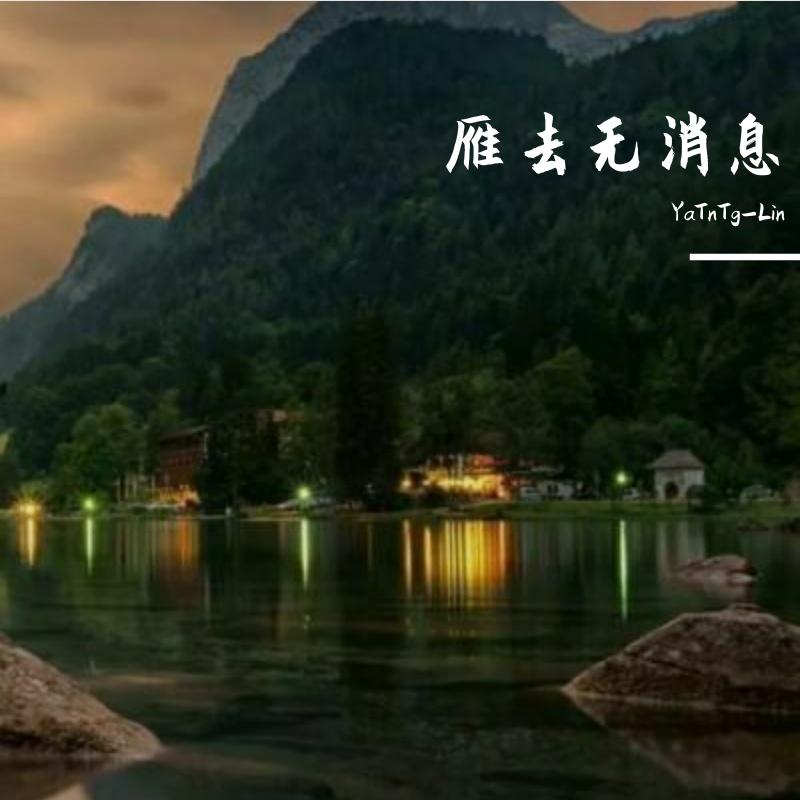 雁去无消息封面
