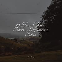 50 Hour of Rain Tracks - Relaxation a Relax
