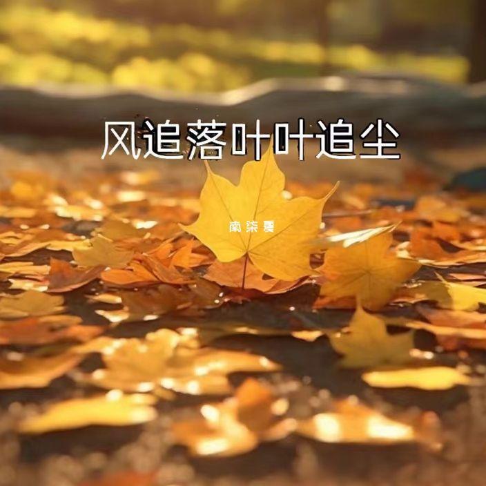 风追落叶叶追尘