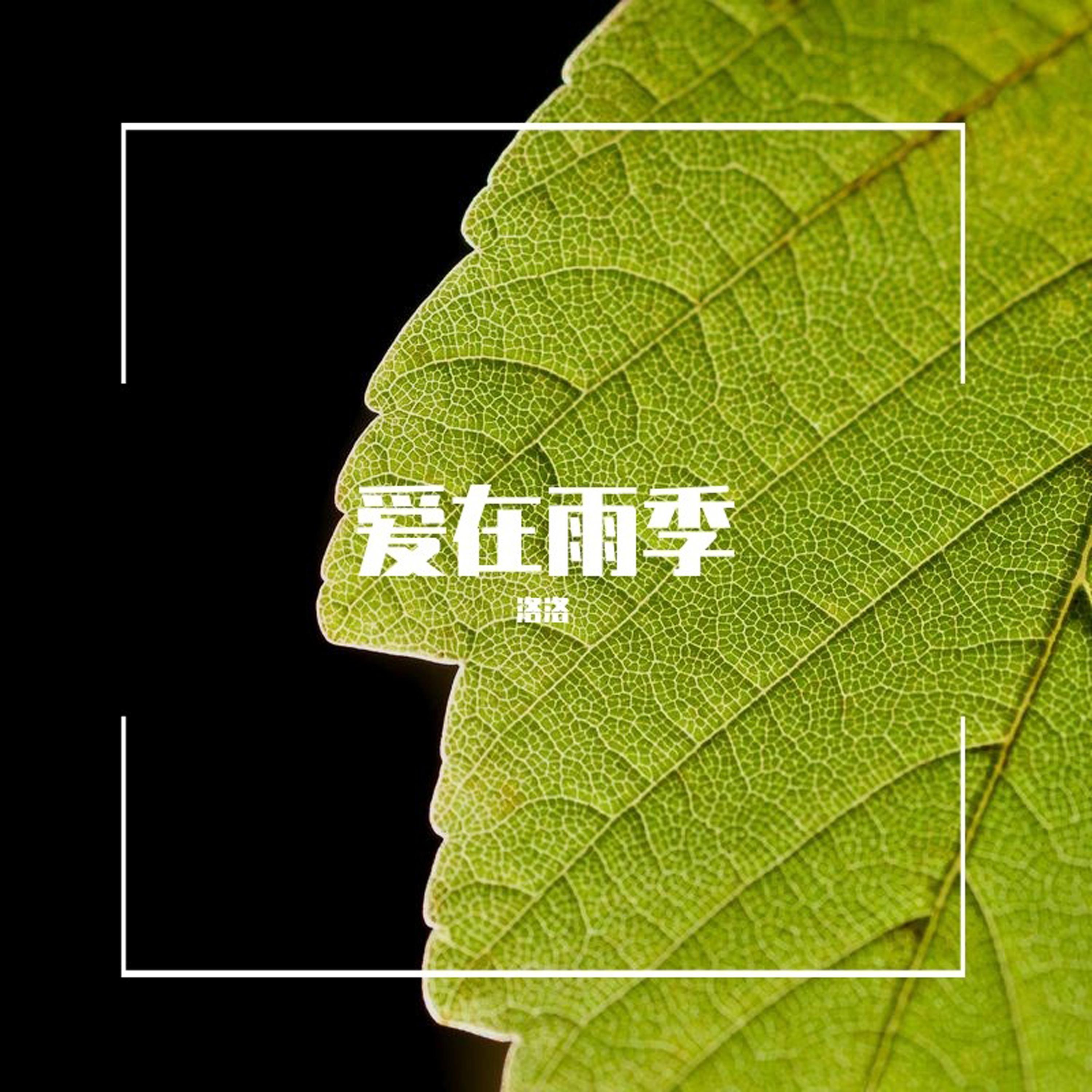 粉红法拉利 (Remix)封面