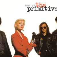 The Primitives资料,The Primitives最新歌曲,The PrimitivesMV视频,The Primitives音乐专辑,The Primitives好听的歌