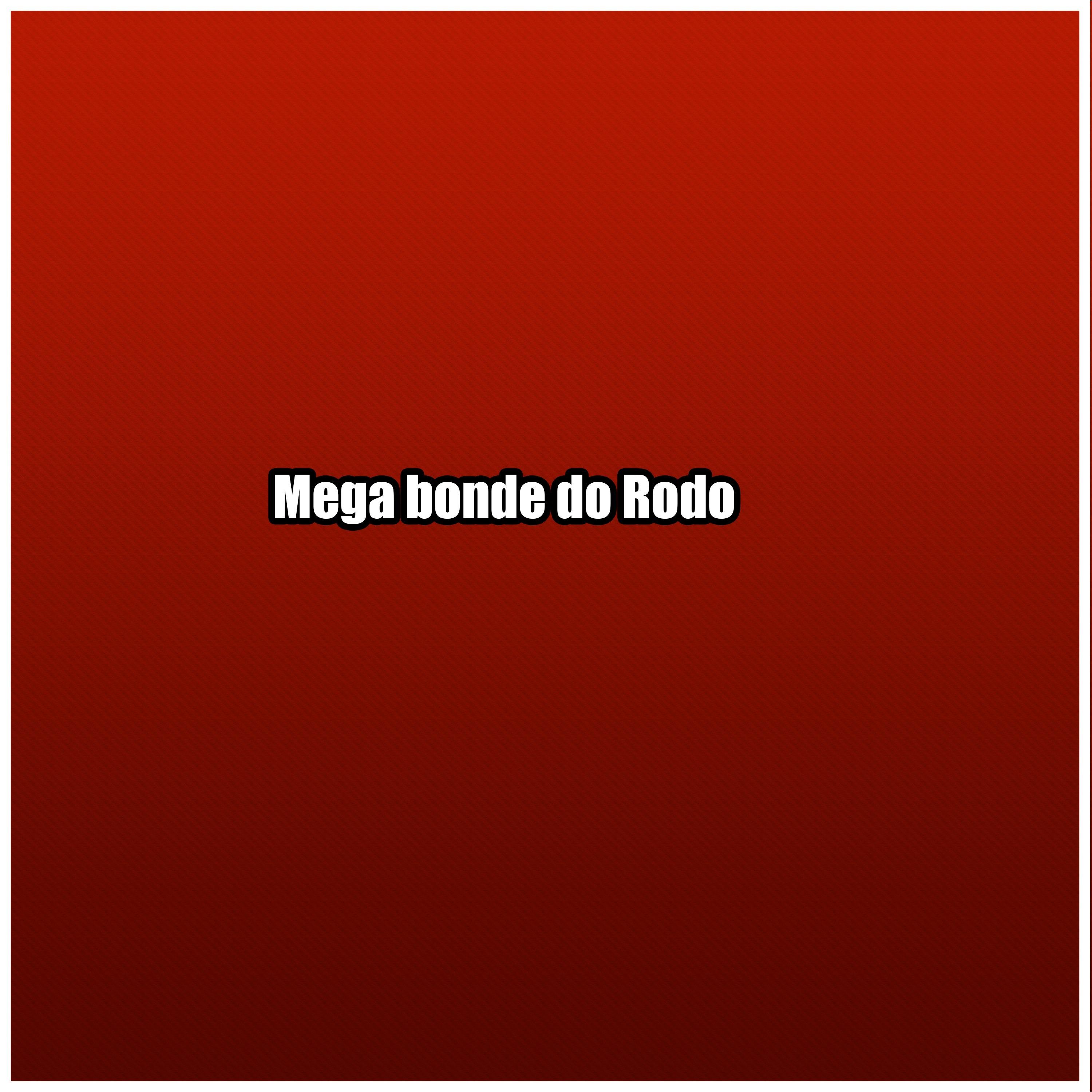 Mega bonde do Rodo
