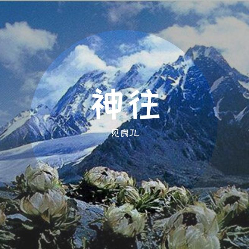 神往 伴奏封面