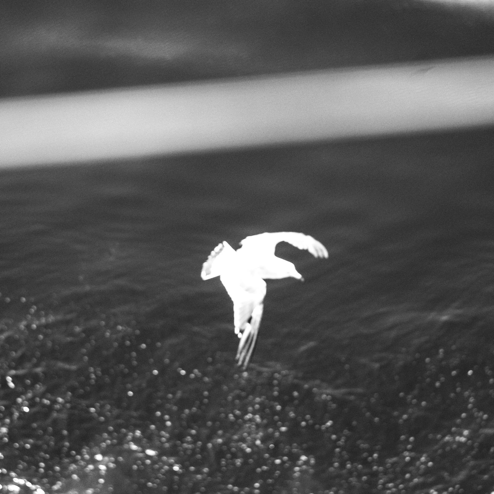 Melo Flow (feat. moeki & maco marets)