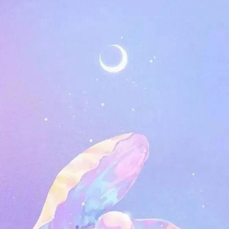夜空中最亮的星(纯音乐)_蛋黄烧月饼_流行音乐钢琴翻弹 | 在线播放_夜空中最亮的星(纯音乐)歌词_夜空中最亮的星(纯音乐)下载 | 网易云音乐