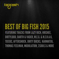 Best of Big Fish 2015