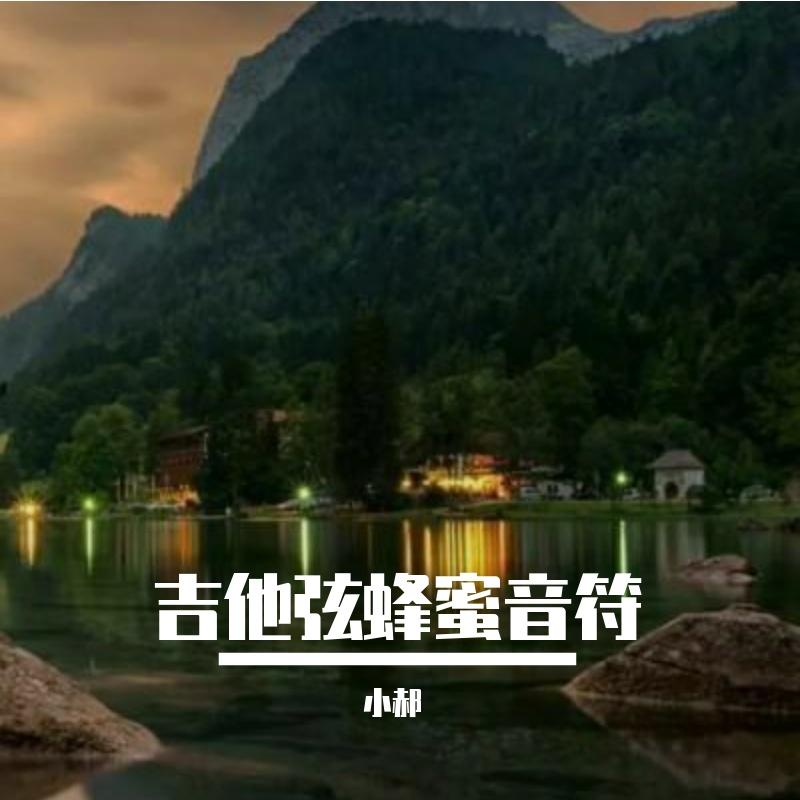 荷花盏封面