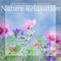 Nature Relaxation - Ambient Tracks For Deep Sleep, Meditation & Spa