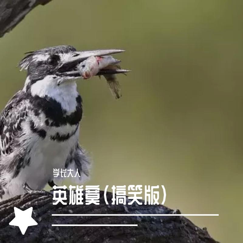 英雄寞（搞笑版） - 许蓓充封面