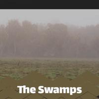 The Swamps