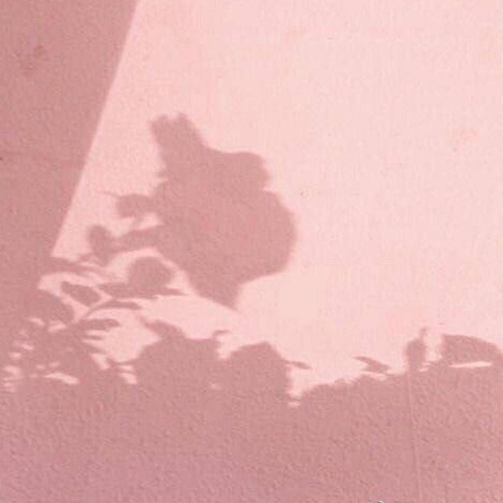 VeroNiCA ᶘ ᵒᴥᵒᶅ