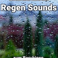 Regen zum Einschlafen Annelie Reys