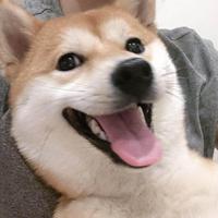 嗯