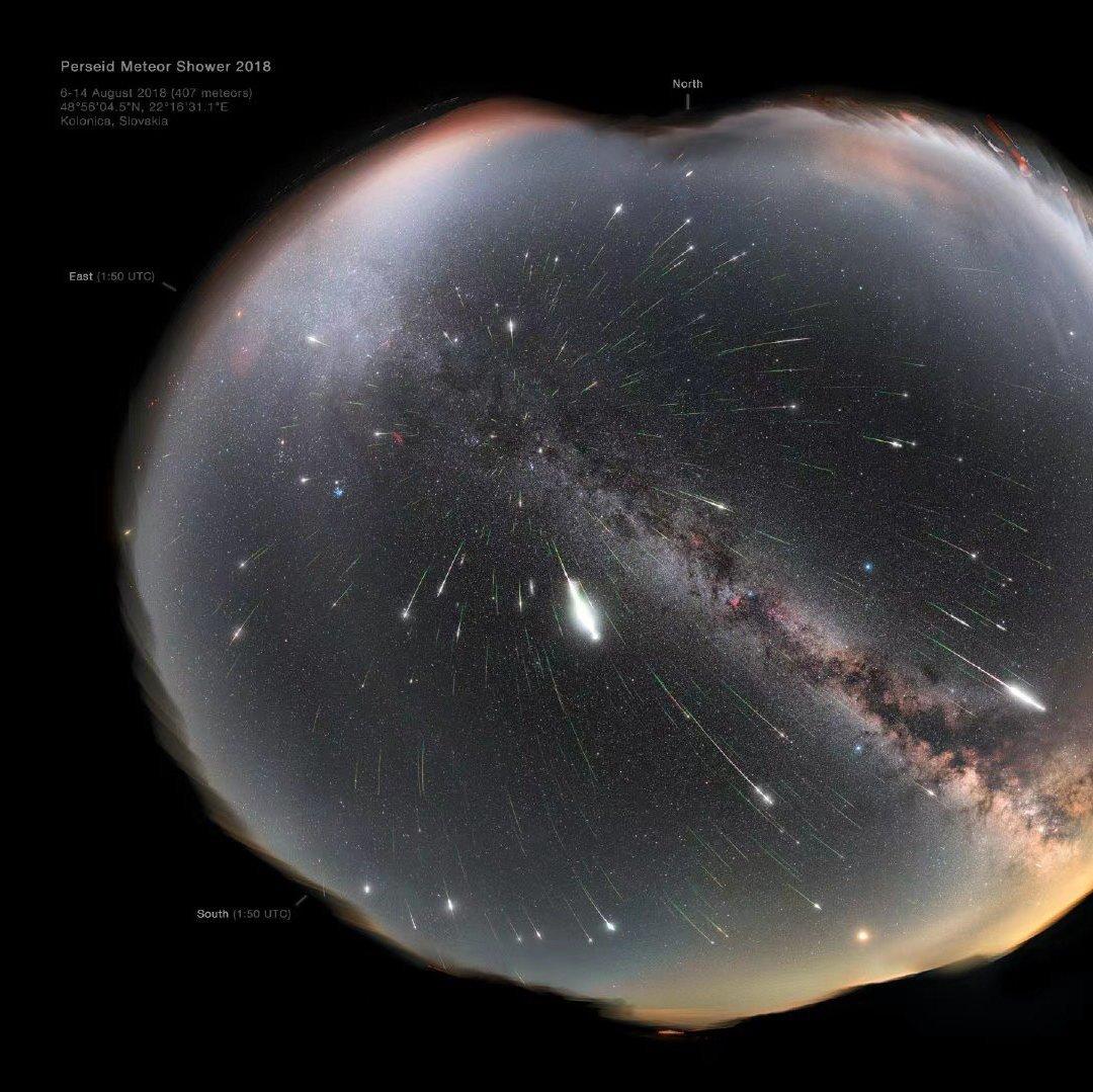 古德一头老母猪