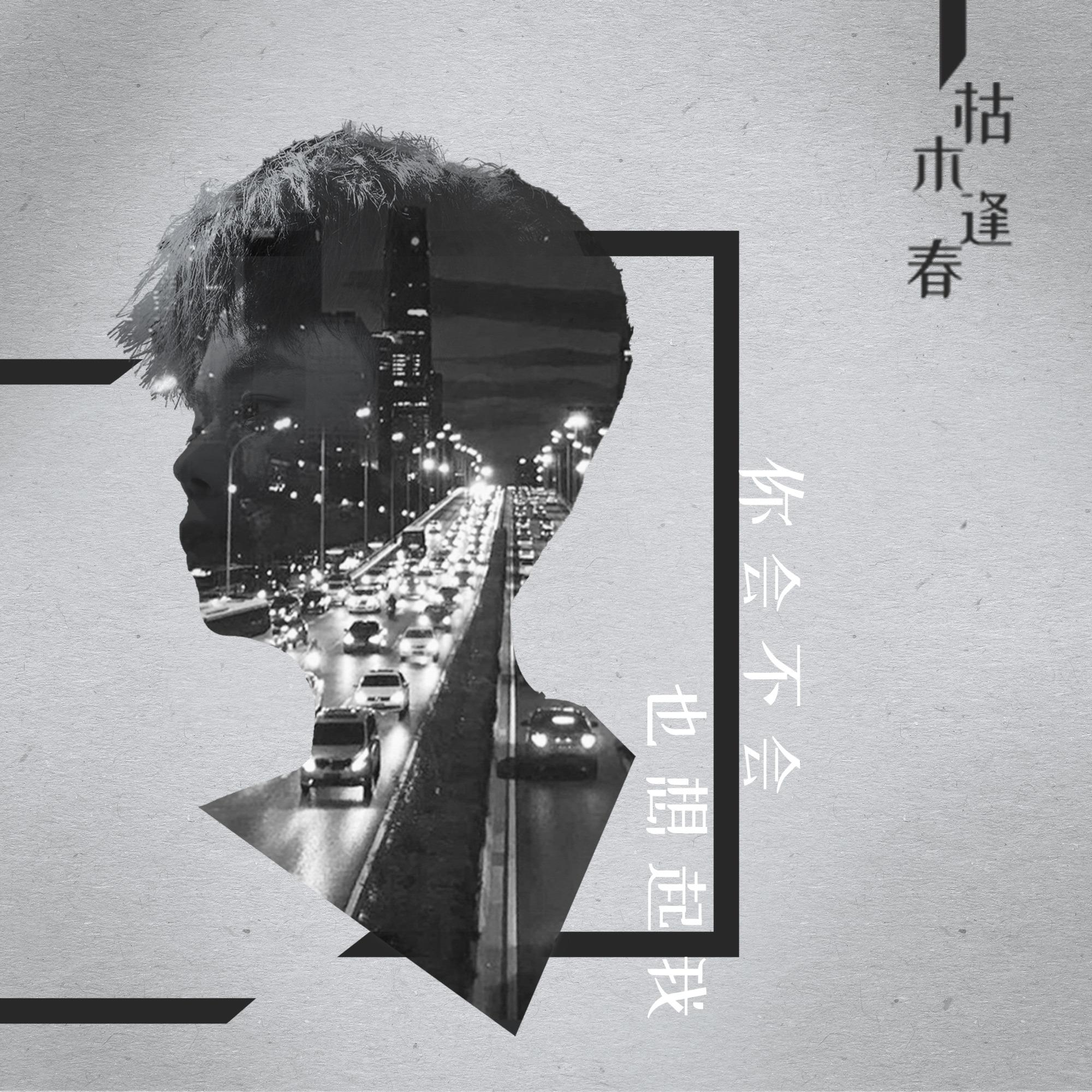 你会不会也想起我 (伴奏)封面