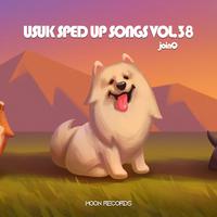 USUK SPED UP SONGS VOL.38