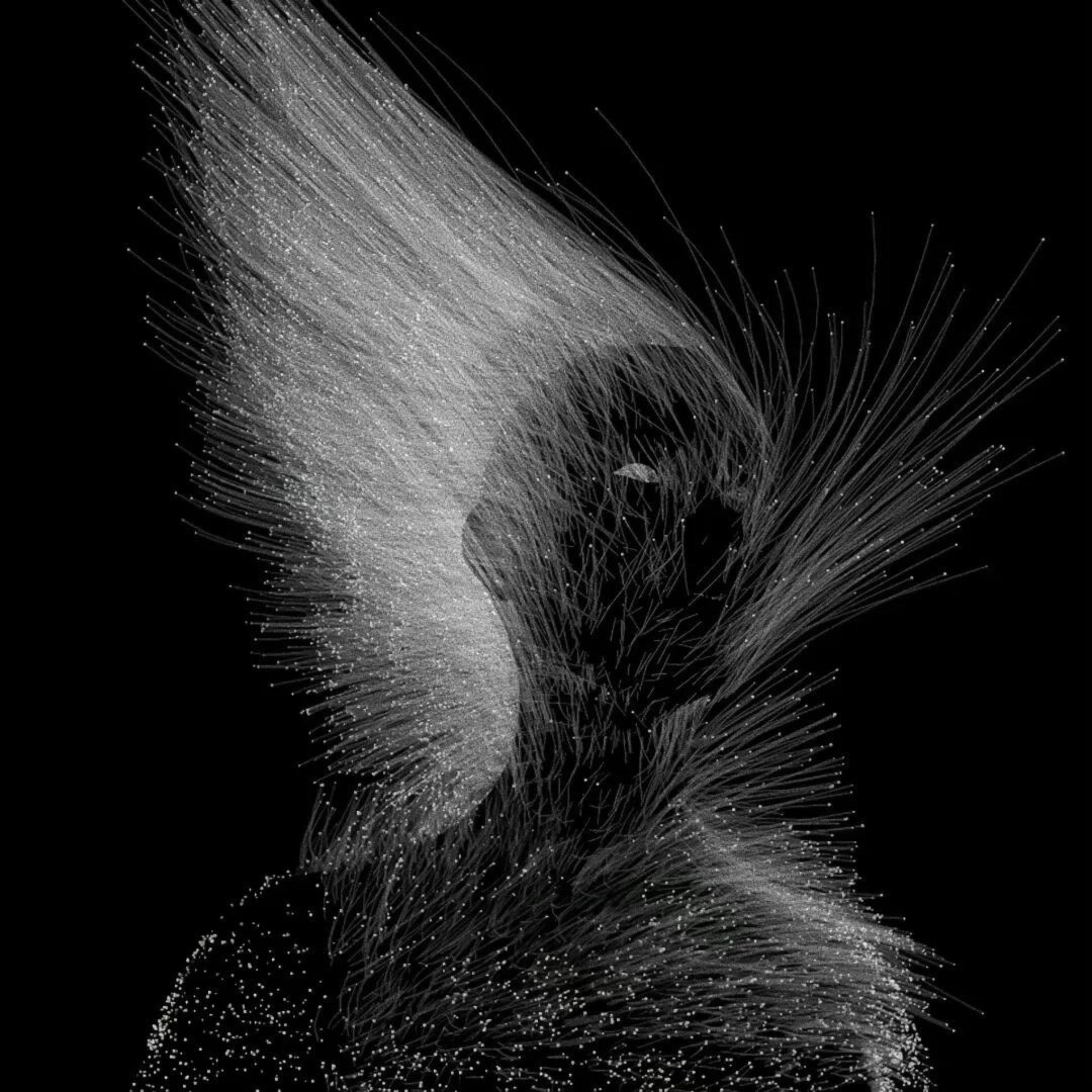 Talking to the Moom X That Girl (Deep Phonk)