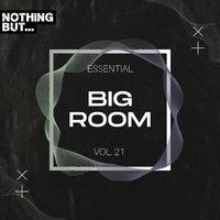 Nothing But... Essential Big Room, Vol. 21