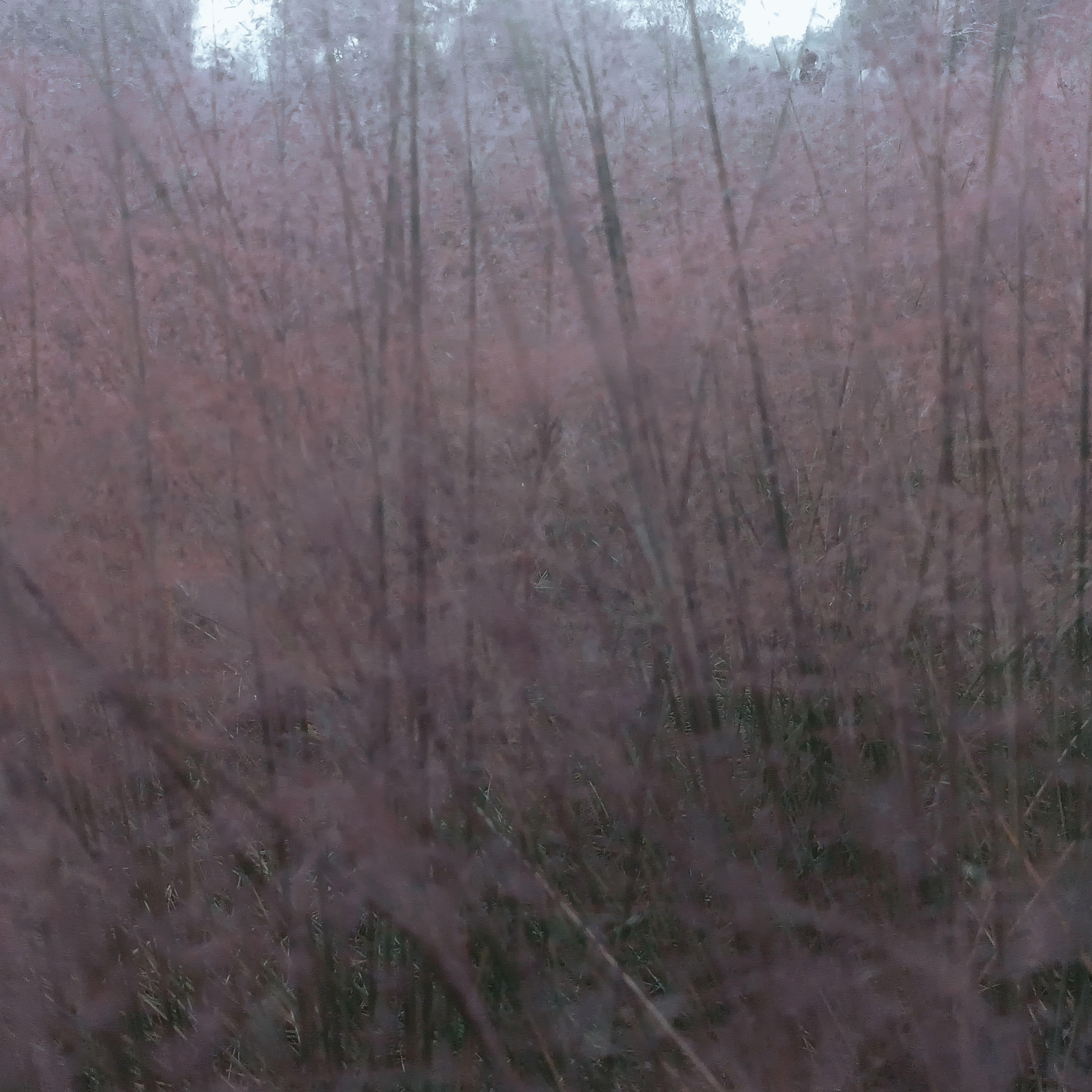 圣血（prod.by Fifty-Fifty）