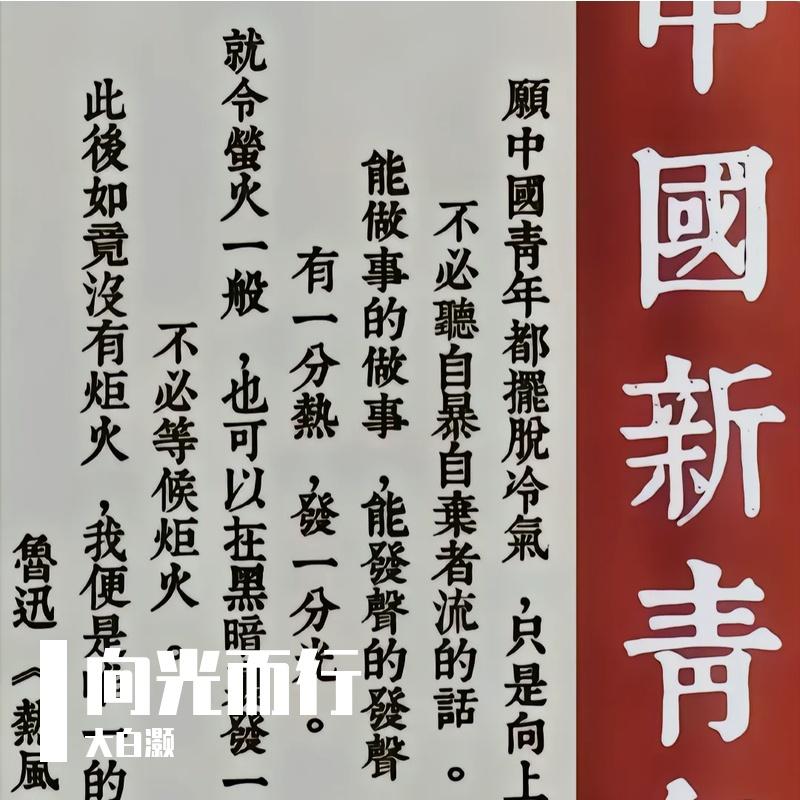 向光而行（Cover周深）封面