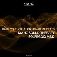 Raise Your Vibration (Binaural Beats)