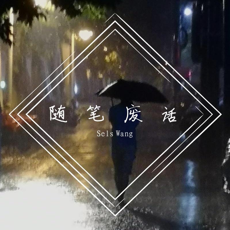 随笔废话封面