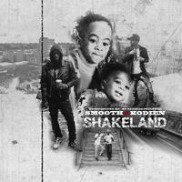 Shakeland