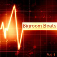 Bigroom Beats, Vol. 1