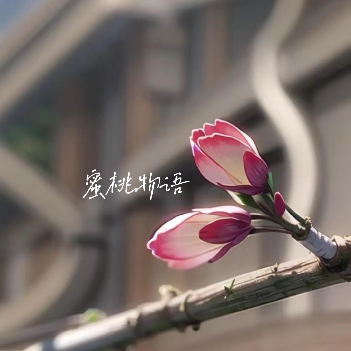 蜜桃物语 - 清音谷封面
