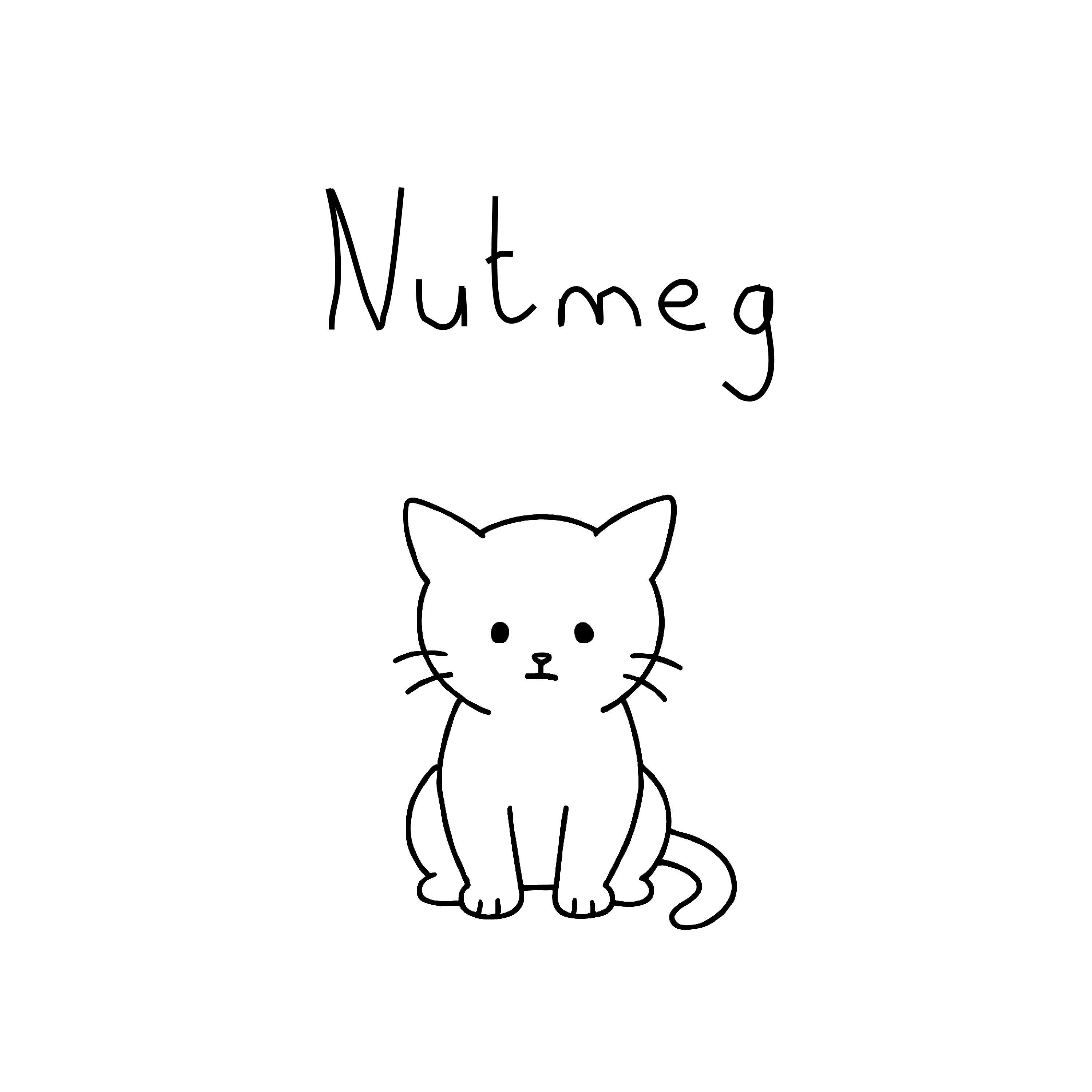 Nutmeg
