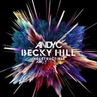 Indestructible (VIP)