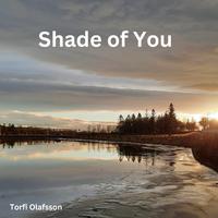 Shade of You