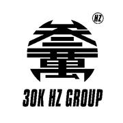 30K Hz GROUP