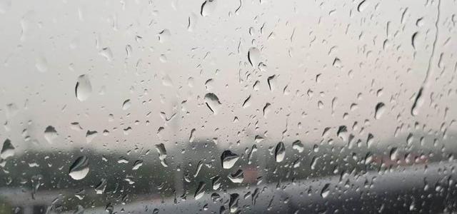 王秋实头像