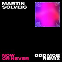 Now Or Never (Odd Mob Remix)