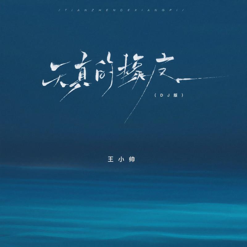 天真的橡皮(DJ版) - 王小帅封面